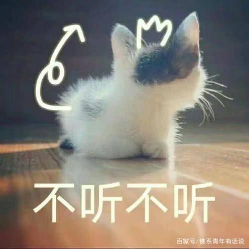 不想用“李白,杜甫”这些老素材?这些素材,让你的作文提升20分 4
