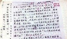 可爱的小狗 和小狗玩耍400字作文