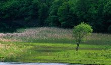 高考作文辅导101：莫做偏见的囚徒（漫画作文）