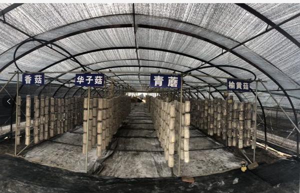 全景呈现:方正县首届稻作文化节盛大开幕! 44