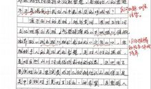 2011年四川高考满分作文：总有一种期待_1000字