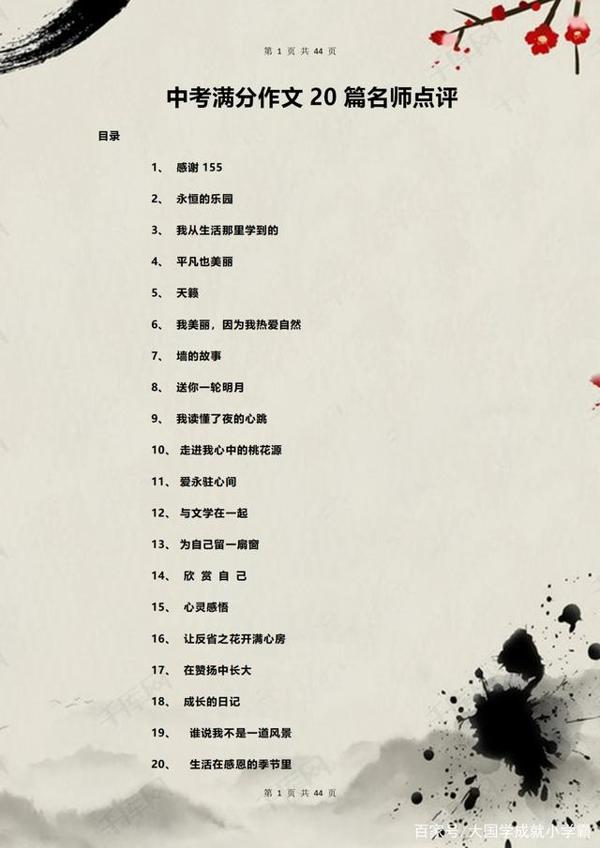 初中:中考满分作文范文及名师点评