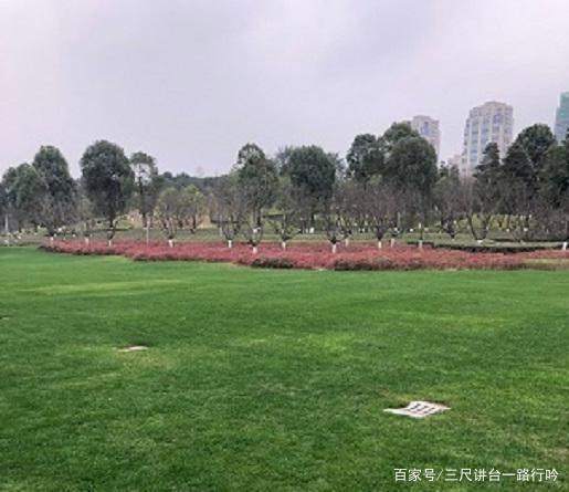 每天过着重复的日子,可老师却要求写出精彩的作文,怎么办? 2