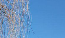 仰望星空 天马行空的诗歌作文400字