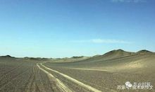 六年级作文：坚持与勇敢