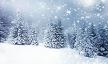 冬天的河 初中生优美散文800字