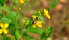 学生作文｜疫情当前，责任在肩