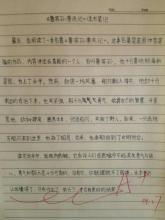 初三随笔日记一则900字 只是一个选择