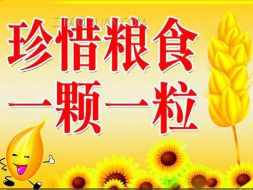 说粮食 珍惜粮食800字作文