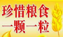 说粮食 珍惜粮食800字作文