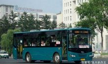 三年级作文：公交车上的见闻