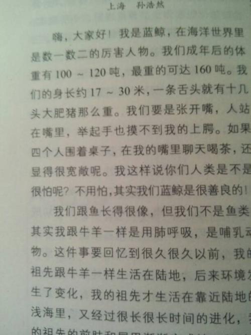 我是一颗绿豆 一颗种子的自述500字作文