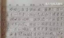 电脑学校 小学生想象作文400字