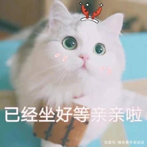 不想用“李白,杜甫”这些老素材?这些素材,让你的作文提升20分 9