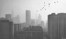 疫情作文：灰蒙的世界