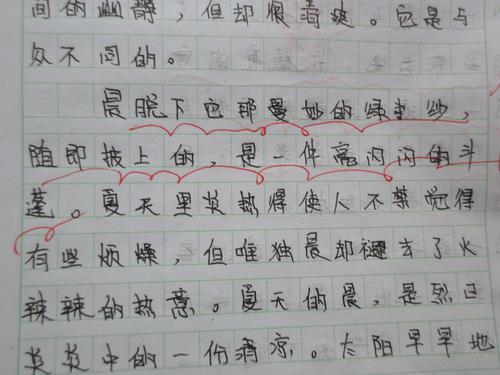 晨起那些事儿作文