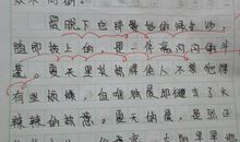 晨起那些事儿作文