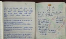 小学5年级读书笔记