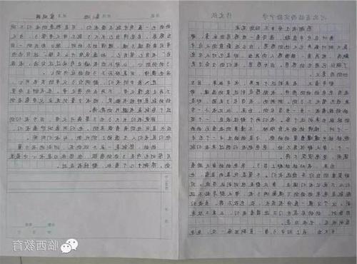 关于感恩初中母校作文1100字3篇
