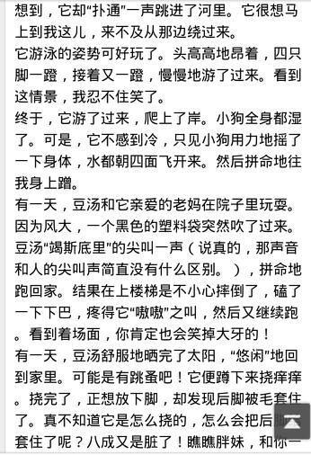 四年级作文我的动物朋友小狗