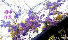 《戒烟是爱》从内容的构成，就基本可以判断一篇中学作文的层次