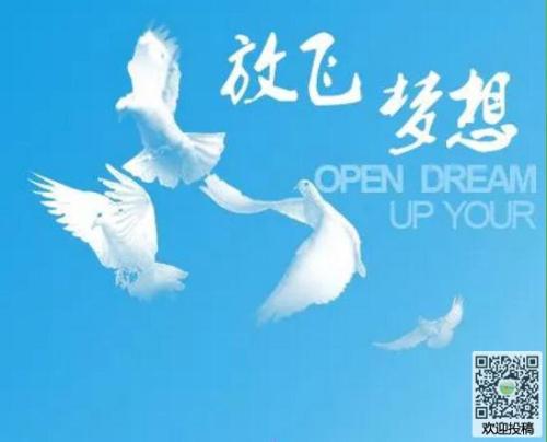 [PK赛]关于理想的作文：放飞梦想，手舞飞扬_2000字