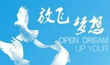 [PK赛]关于理想的作文：放飞梦想，手舞飞扬_2000字