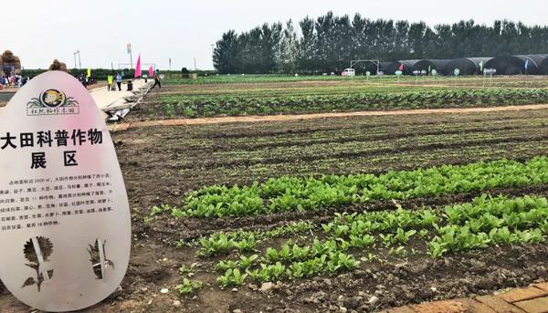 全景呈现:方正县首届稻作文化节盛大开幕! 38