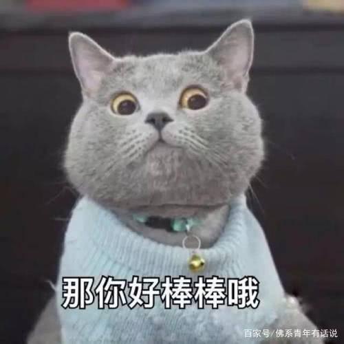 不想用“李白,杜甫”这些老素材?这些素材,让你的作文提升20分 12