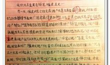 我的文具袋二年级作文