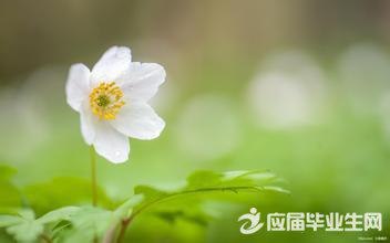 关于景物的精美句子仿写摘选