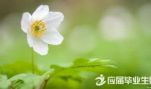 关于景物的精美句子仿写摘选