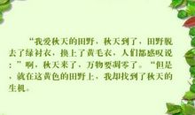 秋天的田野_300字