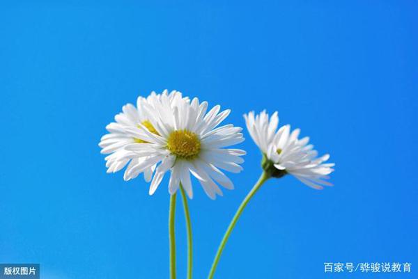中学生作文点评:《一花一世界,一叶一菩提》,物转星移花开花落 1