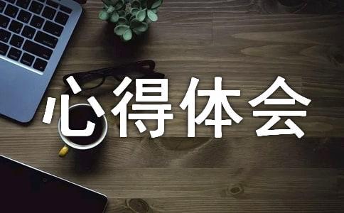 三下乡社会实践心得体会
