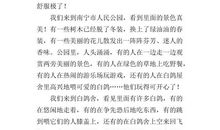 新年趣事作文200字8篇