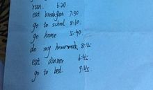 初一英语作文：我不再孤单了_500字