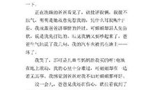 关于父爱的作文：爸爸的爱