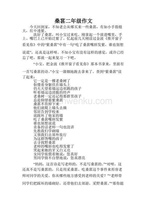 桑葚作文850字