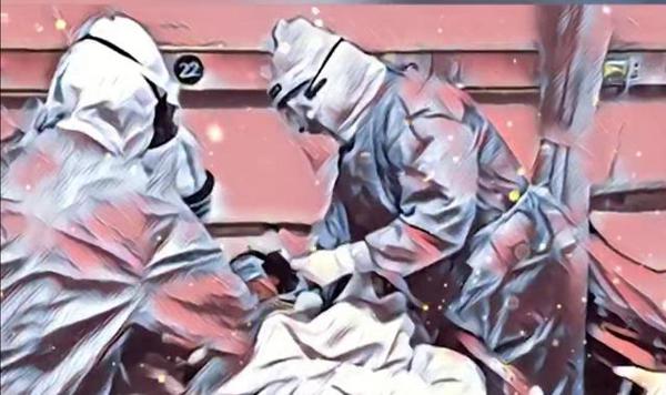 2020上海杨浦高三二模作文解读：到林子里抓兔子和找仙女有何区别 7
