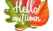 秋天的树叶_650字