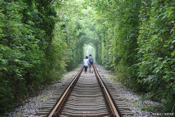 孩子，这3种方法升华作文主题，学会一种就够了 2