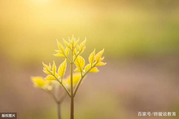 中学生作文点评:《一花一世界,一叶一菩提》,物转星移花开花落 3