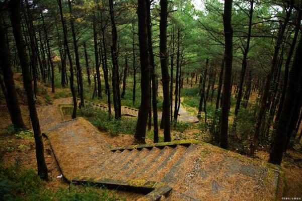 登山作文:走过,才明白
