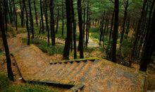 登山作文：走过，才明白