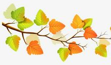 秋天的树叶_600字