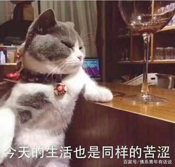 不想用“李白,杜甫”这些老素材?这些素材,让你的作文提升20分 16