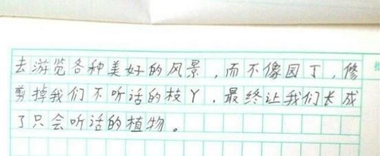 百万大V的"网红老师"，教出来作文全是“爆款”，她说套路最可悲 3