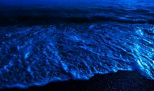 划过天边的那颗星-想象的作文600字