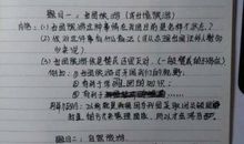 初二英语作文：关于生态游_650字